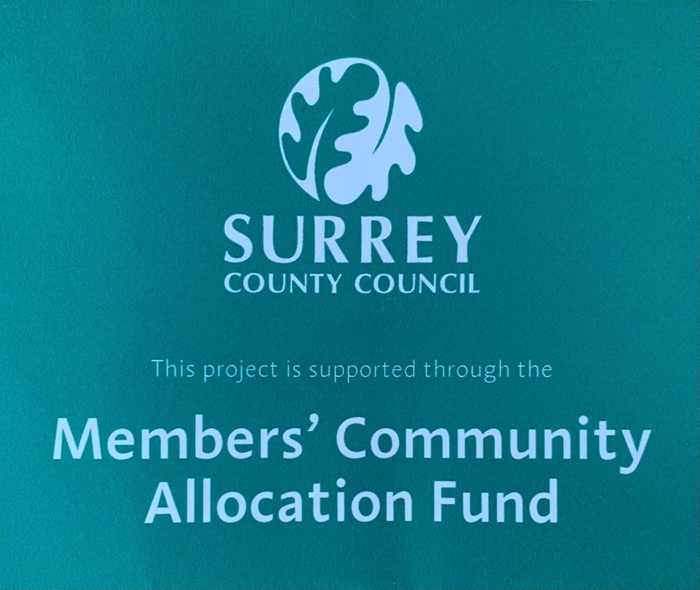 Surrey county council members’ community allocatio