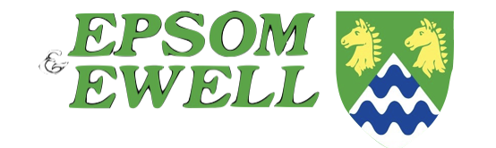 Epsom and ewell council