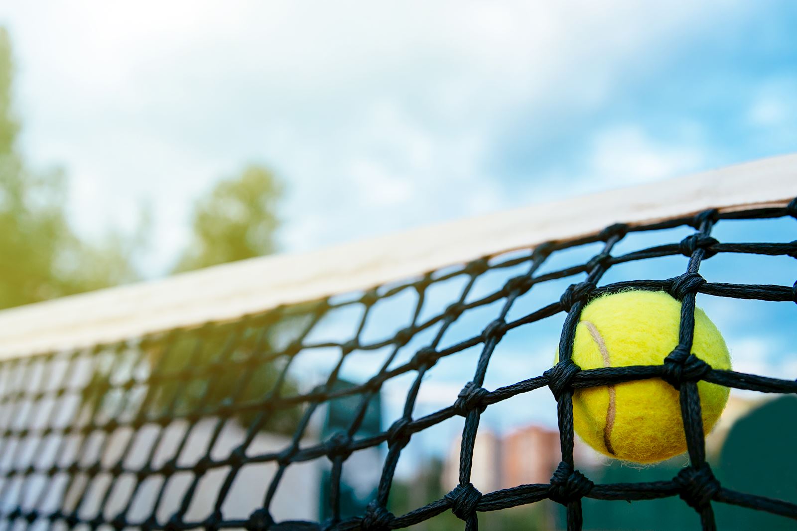 <a href="https://www.freepik.com/free-photo/close-up-photo-tennis-ball-hitting-net-sport-concept_2584034.htm#query=tennis&position=0&from_view=keyword&track=sph">Image by freepic.diller</a> on Freepik